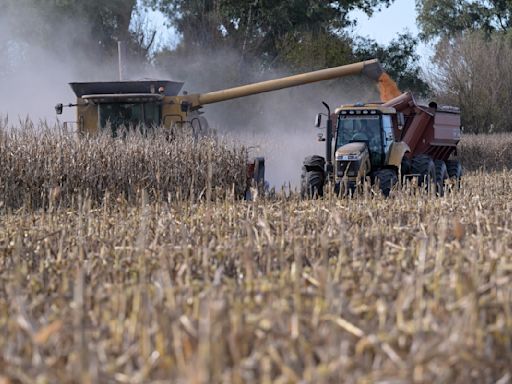 La economía argentina se recupera tras seis meses de caída, ¿ya pasó lo peor?