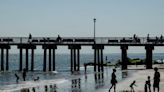 Two Teenagers Drown Off Brooklyn Beach