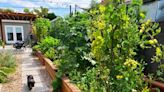 How One TV Writer Made Her Own Thriving Garden Oasis