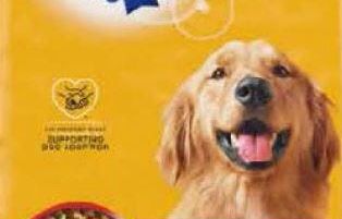 Pedigree dog food recall affects hundreds of bags in 4 states. See if you're among them.