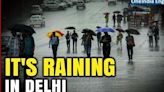 Finally it Rained In Delhi!: Delhiites Get Respite From Deadly Heat | Watch Video