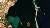 IEO constata la “ausencia total’ de vegetación marina en la ‘mancha blanca’ del Mar Menor