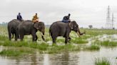 Assam floods: Death toll increases to 58, 24 lakh affected as Brahmaputra, major rivers flows over danger level