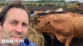 Coveney cattle farmer fears herd sell-off over winter flooding