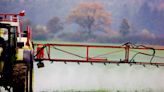 Un tribunal falla contra el Estado francés por no evaluar bien el riesgo de los pesticidas