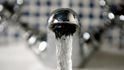 Impact of 31,000 East Sussex properties without water ‘drastic’ for businesses