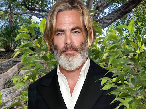 Chris Pine at War with His Neighbor Over Ficus Trees