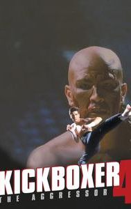 Kickboxer 4: The Aggressor