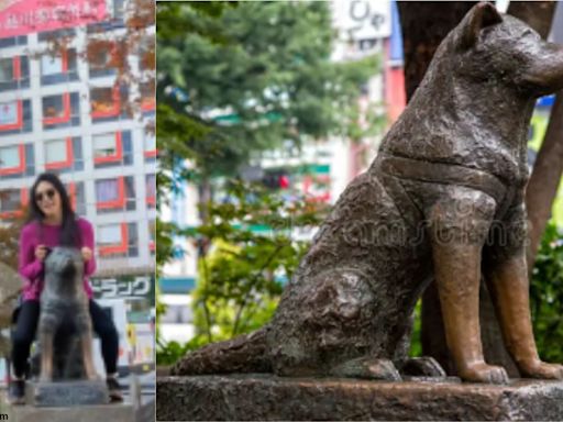 ‘Humans have lost humanity’: Female tourist poses atop Tokyo’s Hachiko statue; netizens outraged