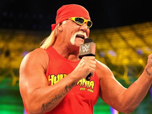 WWE Hall Of Famer Hulk Hogan Reflects On Late Star Sid Vicious - Wrestling Inc.