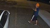 Video shows person of interest sought in Surrey sexual assault investigation