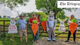 Activists dress as rabbits in protest against solar farm near Watership Down field