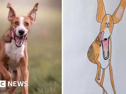 Hercule Van Wolfwinkle: Pet artist to draw non-stop for 24 hours