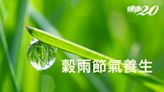 最新2024「穀雨」這碗湯快速除身體濕氣！穀雨養生注意什麼？簡單3招去濕