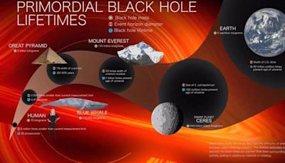 El telescopio Roman podrá ver agujeros negros de masa terrestre