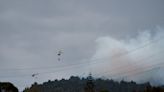 El fuego en la isla de Tenerife, el mayor del año en España, afecta ya a 13.383 hectáreas