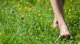 Benefits of walking barefoot in grass daily for 10 minutes | The Times of India