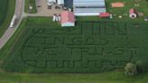 McDonald's corn maze opens with petting zoo, hayrides and new ride-n-slide