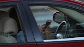 Colorado is close to outlawing all hand-held cell phone use behind the wheel