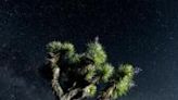 People who had come to Joshua Tree National Park in California in hopes of seeing the Northern lights were disappointed