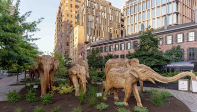 The Elephants Are Coming! A Striking Traveling Exhibition Troops Through Manhattan’s Meatpacking District