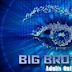 Big Brother Uncut