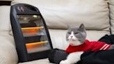 寒冬來襲！狗貓使用電暖器該注意什麼？什麼是低溫燙傷？哪些運動冬天應該避免？貓狗也會手腳冰冷？毛孩禦寒5大QA必看