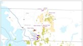 These four Whatcom County forest parcels considered for new state carbon project