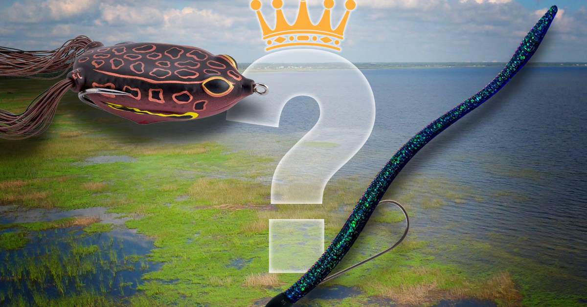 Which Bass Fishing Lures Are the King of Kissimmee In May: Local Pro's Secrets