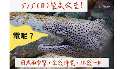 澎湖水族館遭雷擊！緊急為生物供氧供水 宣布休館一天