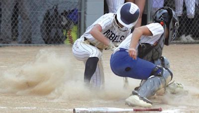 Rebels softball earns share of Northwest Suburban Championship