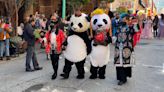 SF Chinatown attracts nearly 40,000 visitors during Autumn Moon Festival celebration