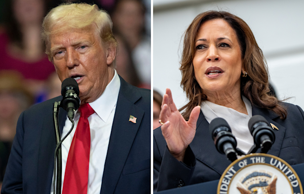 Harris vs. Trump: What polling averages show one week after Biden exit