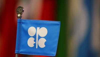 O que esperar da reunião online da OPEP+ Por Investing.com