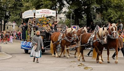 Diskussion um Kutschenpferde - Politiker fordern Pferde-Verbot auf der Wiesn und ernten Kritik: „Ich bin geschockt"