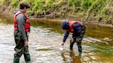 Flint to distribute $50K in microgrants to youth-led climate projects