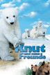 Knut & Friends