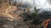 Acciones de Emergencia en Reserva Natural Monte Alto