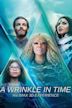 A Wrinkle in Time (2018 film)