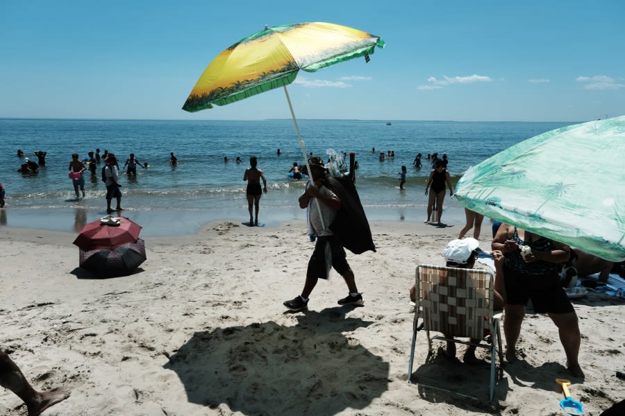 How to find if New York City beach water is safe