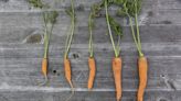 How marketing classes can rescue 'ugly produce' from becoming food waste