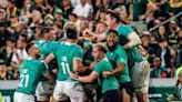 Frawley drop-goal gives Irish thrilling win over South Africa