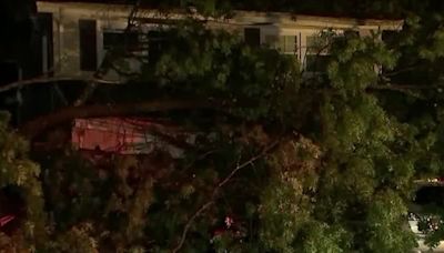 Parents say they pulled drywall off their 3-year-old son after a tree crashed into their home