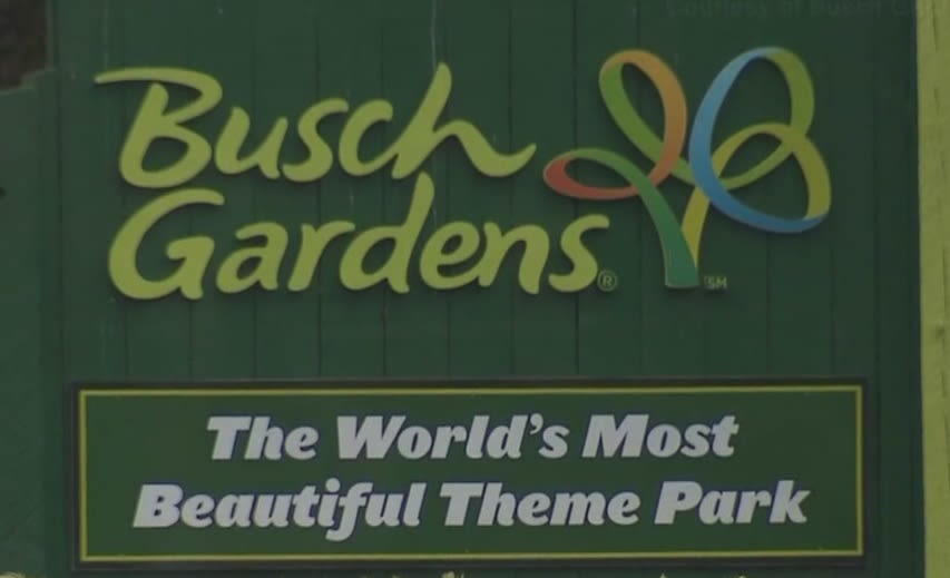 Fight breaks out in line for Busch Gardens’ Pantheon, police say