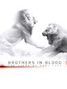 Brothers in Blood: The Lions of Sabi Sand