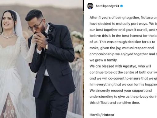 Hardik Pandya, Natasha Stankovic Divorced