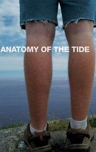 Anatomy of the Tide