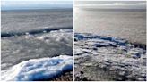 Desde el mar hecho hielo hasta un pato congelado: las impactantes imágenes del país bajo cero