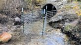 New program to please both landowners and beavers aimed to launch in central Montana