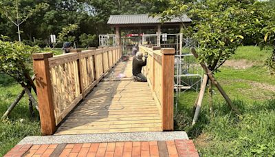 台南水道博物館賞櫻勝地木橋變危橋 趁非花季整修